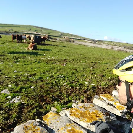 Ti Noemia - Casa De * Minde