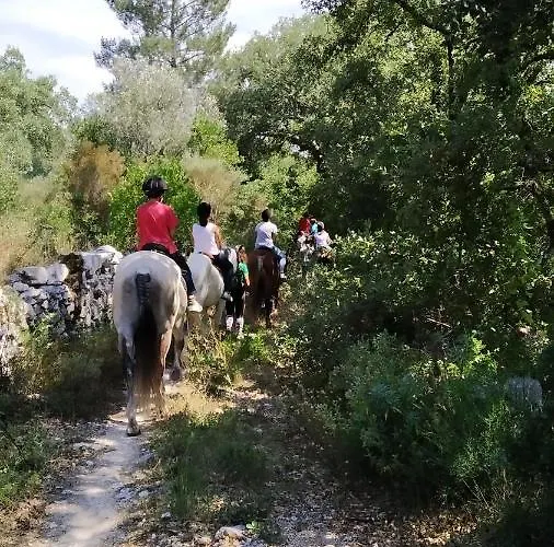 Hébergement de vacances Ti Noémia - Casa De Minde