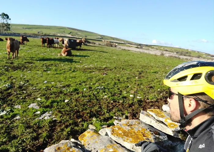 Ti Noemia - Casa De * Minde