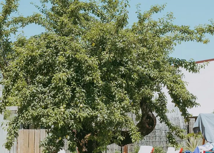 Ti Noémia - Casa De Hébergement de vacances *